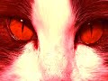 Bali-Eyes-Porno-for-