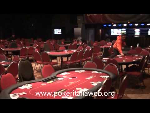 tana delle tigri brno 2012:
