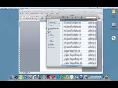 how to check lyca balance