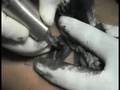 Ruelo Lozendo DUTDOTMOV Trailer.MOV
