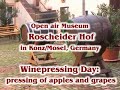 Keltern (Wein, Apfelmost) im Freilichtmuseum Konz (Mosel)