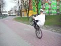 Wheelie Riderz