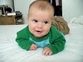Le petit explorateur