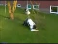 Bungee Jump