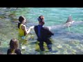 Discovery Cove - Beijo no Golfinho