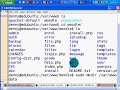 Edubuntu Install of CVS Moodle Fails