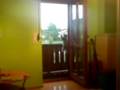 videos de My Cat Fakes Spiderpig