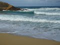 la fosca palamós en plena rabia 2