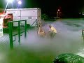puaka tak seram