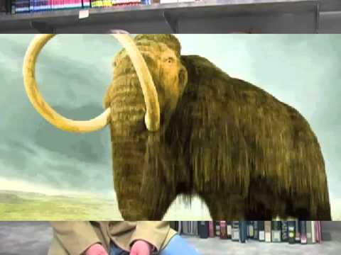 Scientists To Bring Dead Mammoth Back To Life 0 Scientists To Bring Dead Mammoth Back To Life