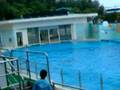 Dolphin3 