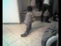 videos de 