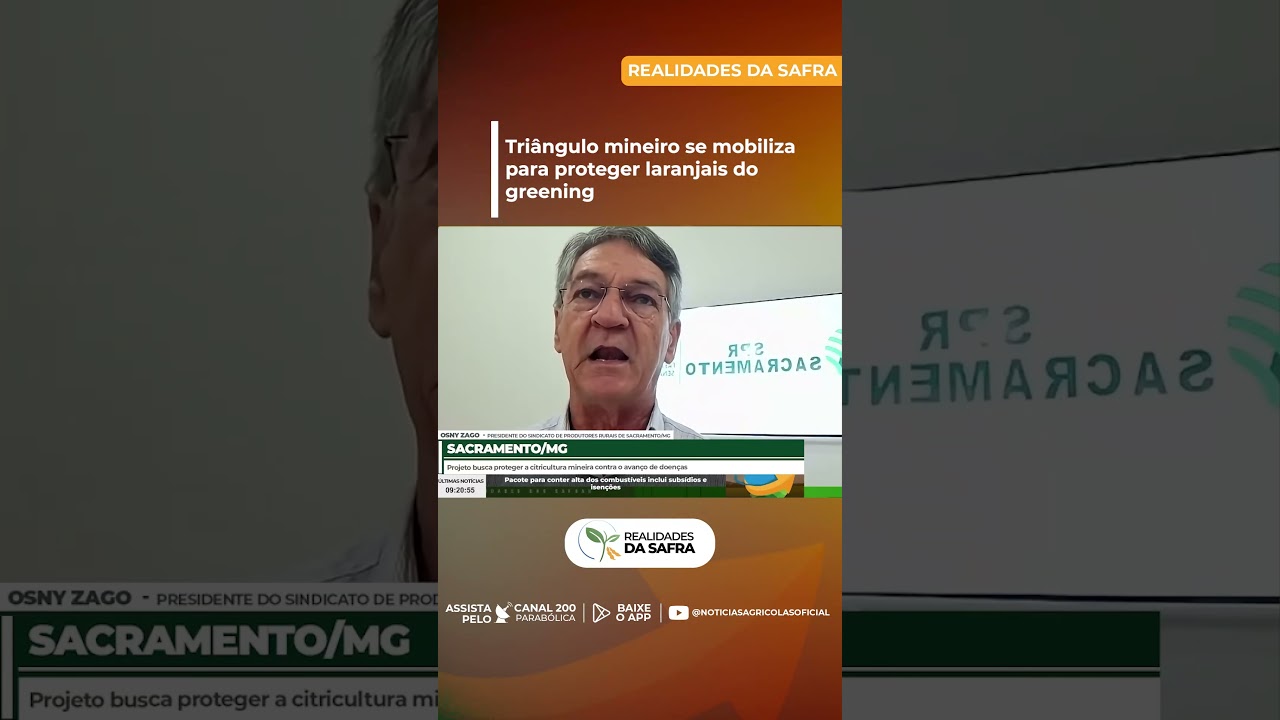 Triângulo mineiro se mobiliza para proteger laranjais do greening