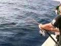 久米島釣行記2007.7.21パヤオ編