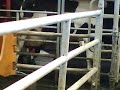 lely A2 robot