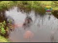 sigueEL MEJOR FOLCLORE PERUANO/ JILGUERO DEL HUASCARAN