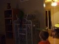 Bubba dancing to Seargent Pepper