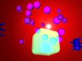 3D Amimation