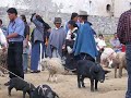 Inti Raimi en Otavalo (san juanito)