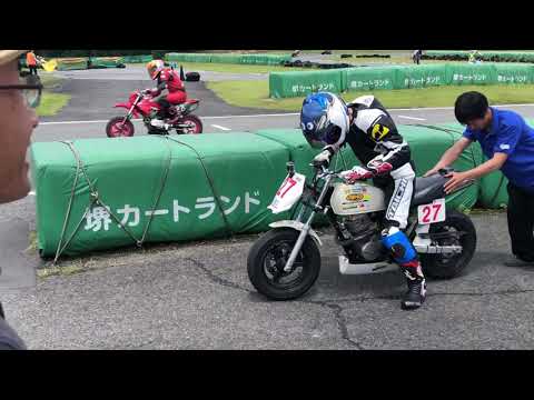 動画