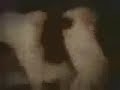 Hasan Cihat Örter - Çeçen K?z? Hasan Cihat Örter - Çeçen K?z?