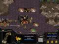 [Rutgers]Nesh (orange terran) v...