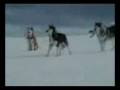 Wolfish love music by Within Temptation - Frozen (with lyrics)