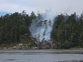 Brush Fire - Esquimalt Lagoon