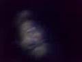 videos de trolo kgao