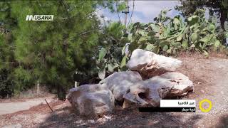 قرية ميعار - عين الكاميرا -  صباحنا غير- 7.3.2018 - قناة مساوة الفضائية