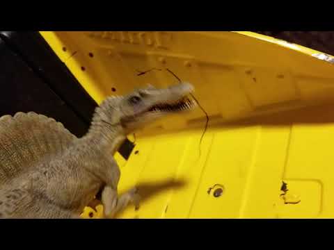 Godzilla and rexy season 7 episode 38 the killer raptor (Halloween special)