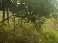 bush jump ghosting pt.3