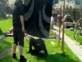 Ninjas por todos lados