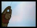 Kenny Loggins - Return to the Pooh Corner
