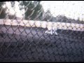 Thumbnail #3