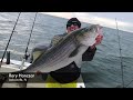 Reel Fish'n targeting Rock fish in the Atlantic Ocean Search and Destroy Fishing. Ryan Ireland hosts video and compile of days events. reelfishn.net