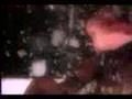 Cathy-Dennis-Touch-M
