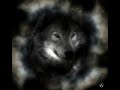 wolf icon wolf icon