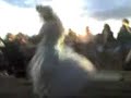 Dia de Iemanja