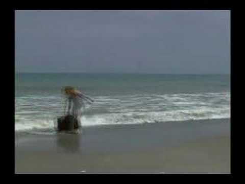 Captain Morgan's Parrot Bay Rum ...
