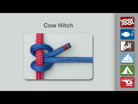 how to tie cow hitch