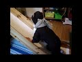 Bockarna Bruse Saga / Film P� Svenska