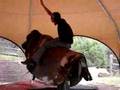 Bull Ride