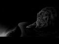 Wolves {~So Cold~}