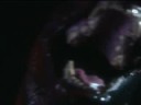 resident evil original opening - playstation version-