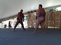 Sumo 2