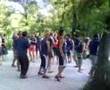 Shake Your Tail Feathers at Ardeche