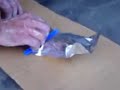 EZ-Poly Truck Dock Repair Demo