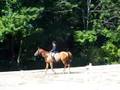 Kath & Horse Dressage King Oak Fall 2008