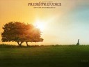 Pride and prejudice